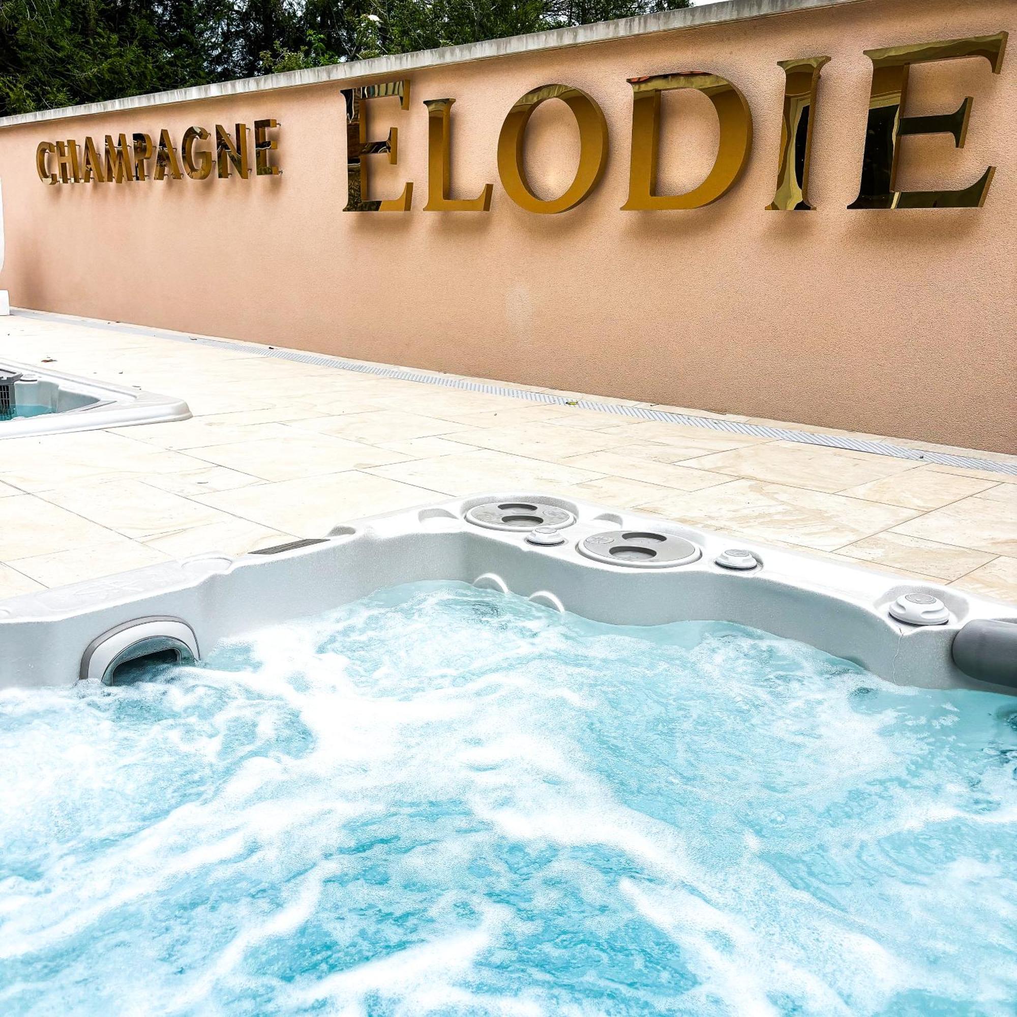La Demeure D'Elodie エペルネー エクステリア 写真