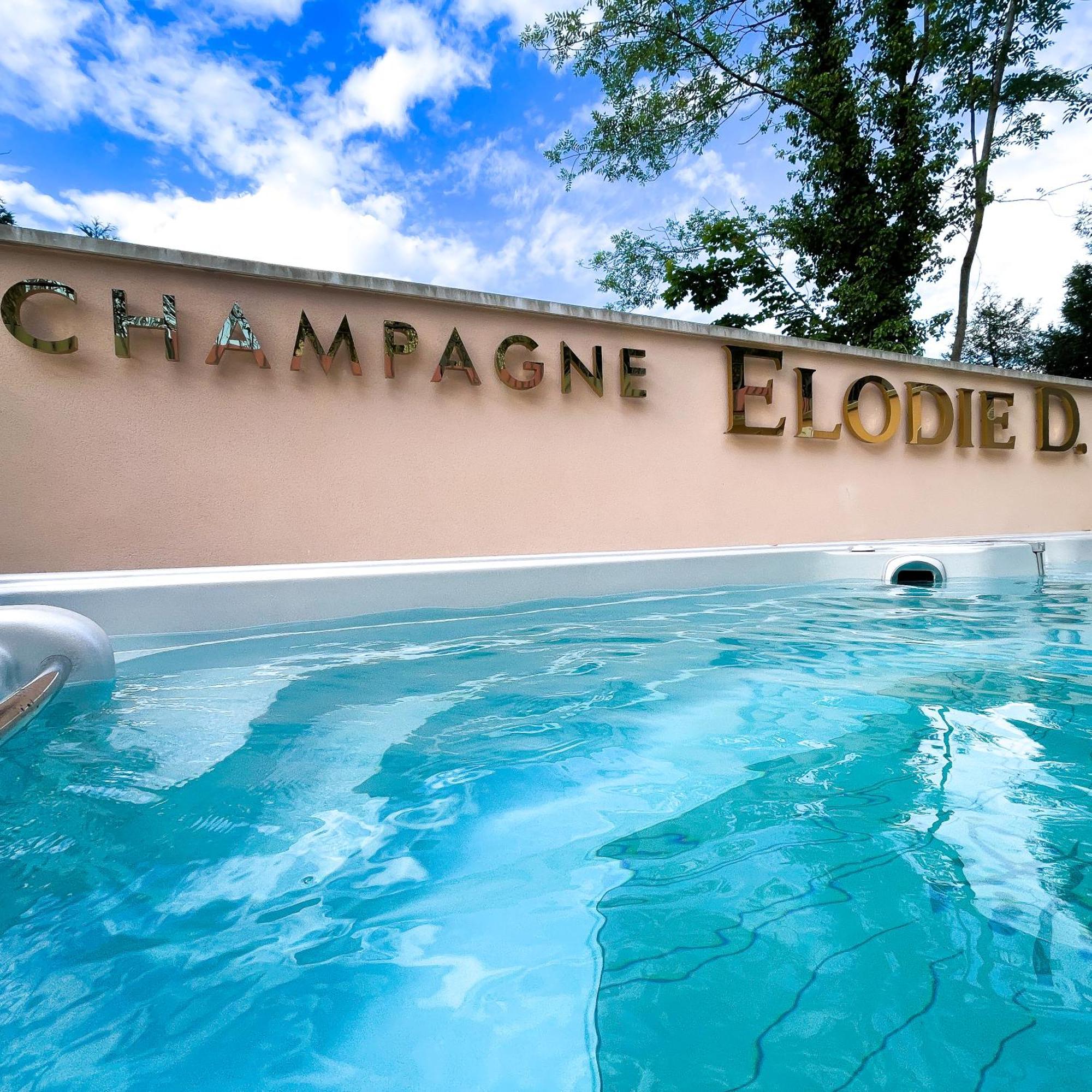 La Demeure D'Elodie エペルネー エクステリア 写真